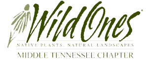 Wild Ones Middle TN logo